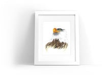Load image into Gallery viewer, Bald Eagle Watercolor Print