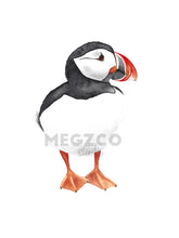 Load image into Gallery viewer, Puffin Watercolor Print