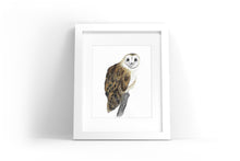 Load image into Gallery viewer, Barn Owl Watercolor Print