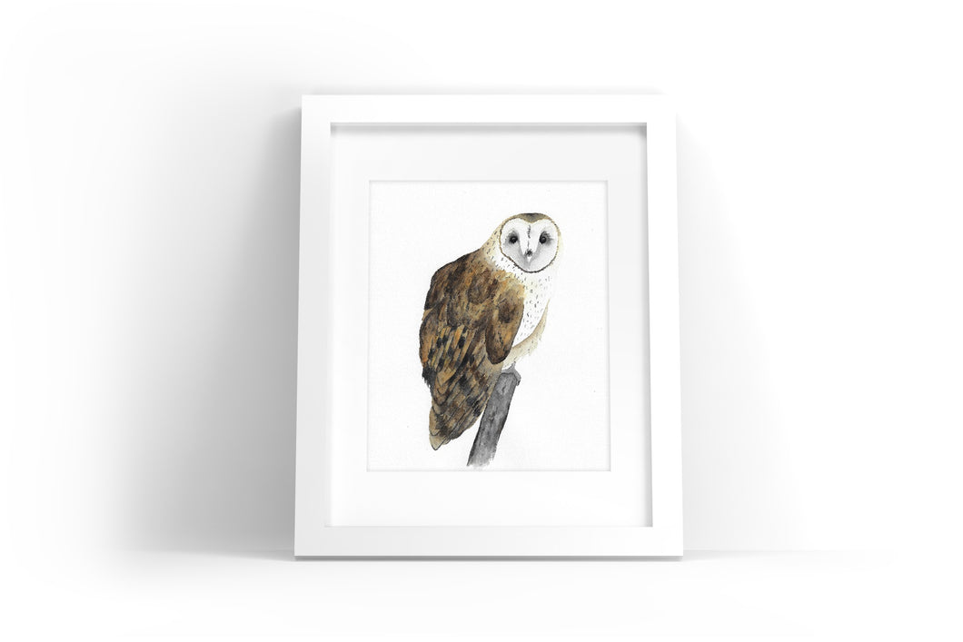 Barn Owl Watercolor Print