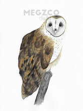 Load image into Gallery viewer, Barn Owl Watercolor Print