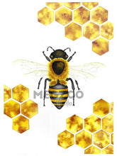 Load image into Gallery viewer, Bee with Honeycomb Watercolor Print