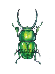 Green Beetle Watercolor Print
