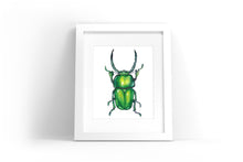 Load image into Gallery viewer, Green Beetle Watercolor Print