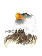 Load image into Gallery viewer, Bald Eagle Watercolor Print