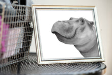 Load image into Gallery viewer, Hippo Watercolor Print