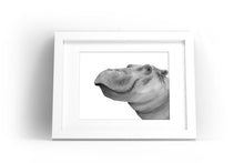 Load image into Gallery viewer, Hippo Watercolor Print