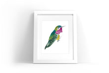 Load image into Gallery viewer, Ruby-Throated Hummingbird Watercolor Print