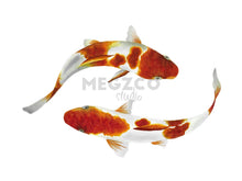 Load image into Gallery viewer, Koi Fish Watercolor Print