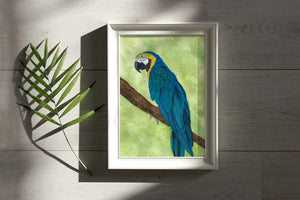 Macaw Watercolor Print