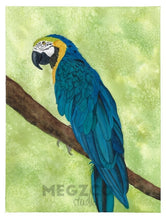 Load image into Gallery viewer, Macaw Watercolor Print