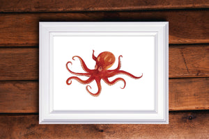 Octopus Watercolor Print