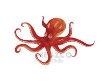 Load image into Gallery viewer, Octopus Watercolor Print
