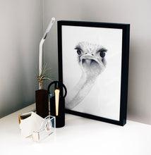 Load image into Gallery viewer, Ostrich Watercolor Print