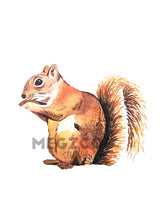 Load image into Gallery viewer, Squirrel Watercolor Print