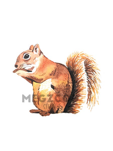 Squirrel Watercolor Print
