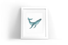 Load image into Gallery viewer, Humpback Whale Watercolor Print